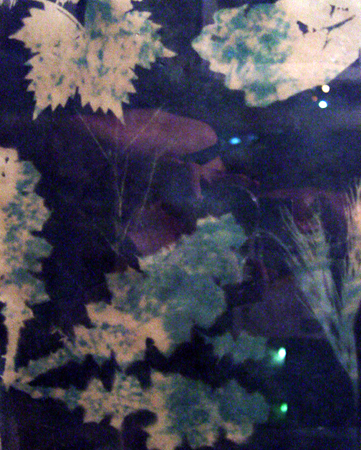 cyanotype_detail